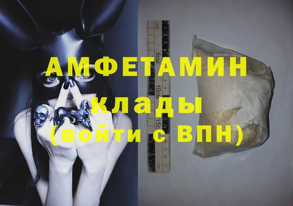 прущие грибы Бородино