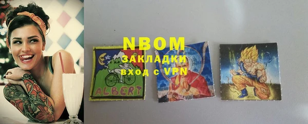 сатива Аркадак