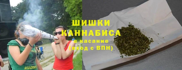 сатива Богородицк