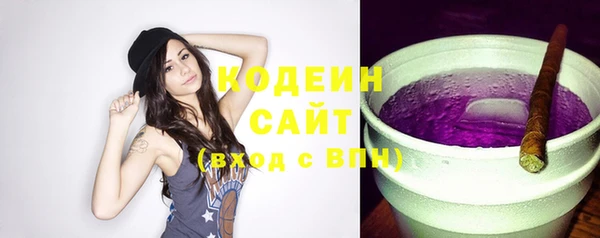 прущие грибы Бородино