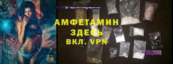 прущие грибы Бородино