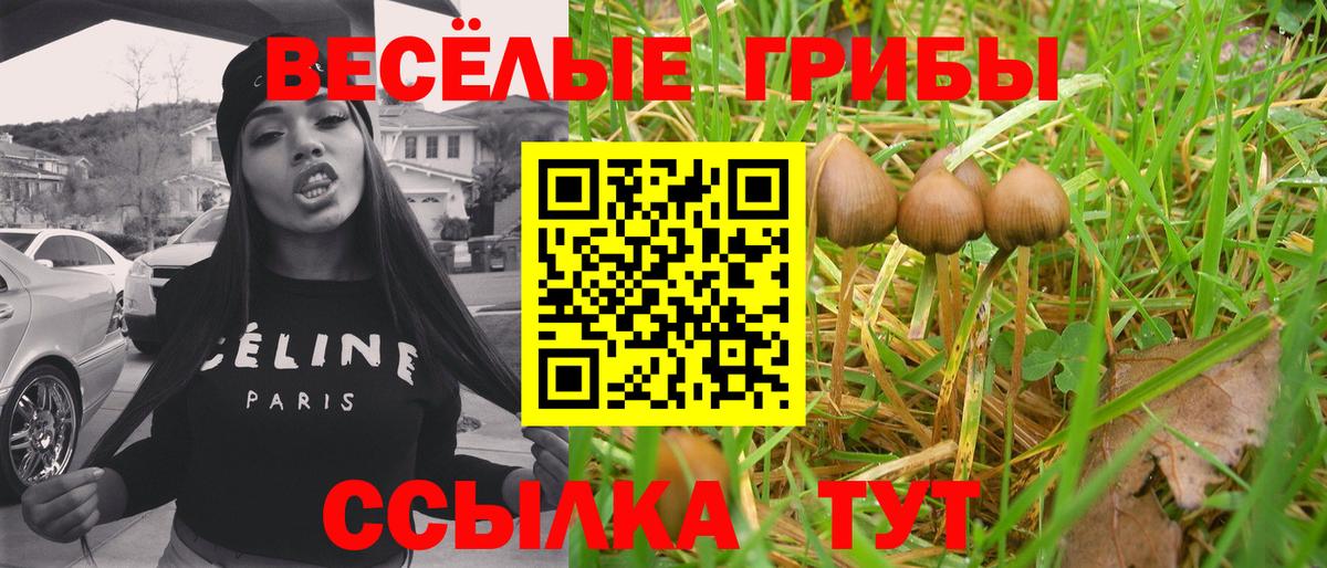 Псилоцибиновые грибы прущие грибы Пятигорск