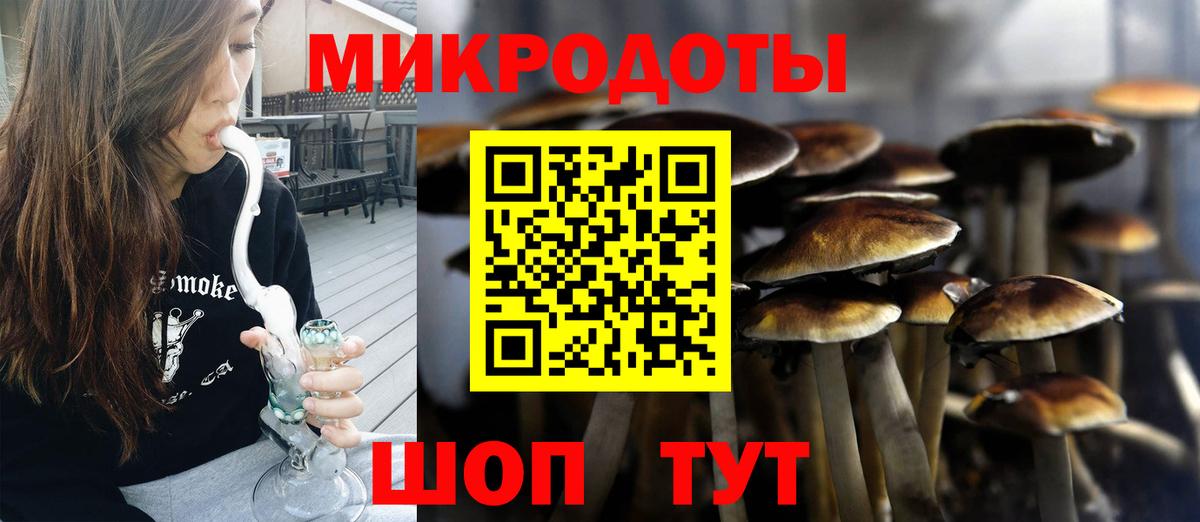 Пятигорск  Галлюциногенные грибы Psilocybe  Вход с VPN 